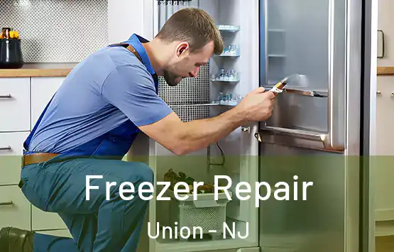  Freezer Repair Union - NJ