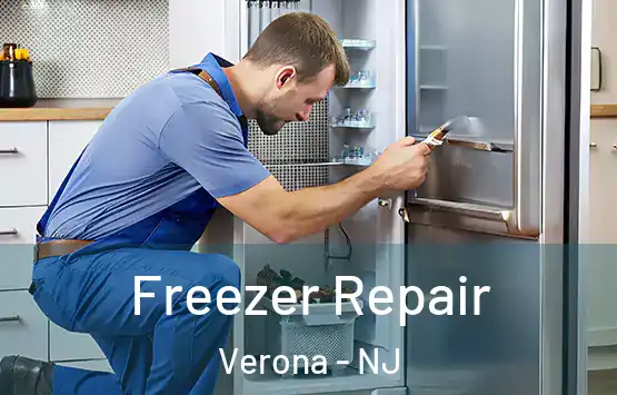  Freezer Repair Verona - NJ