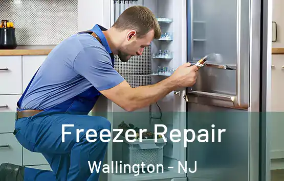  Freezer Repair Wallington - NJ