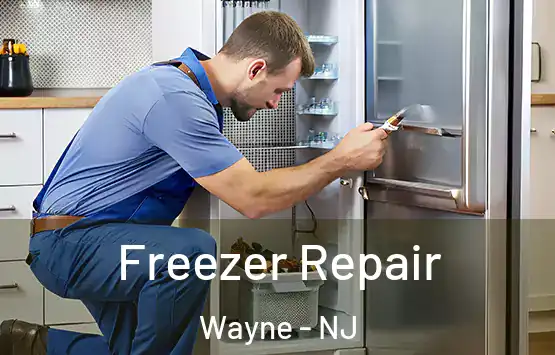  Freezer Repair Wayne - NJ