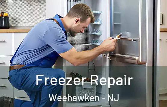  Freezer Repair Weehawken - NJ