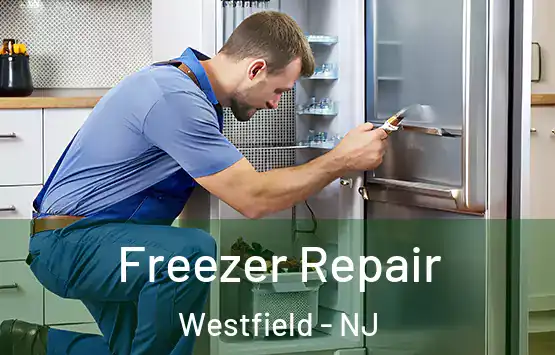  Freezer Repair Westfield - NJ