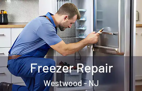  Freezer Repair Westwood - NJ