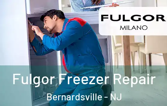  Fulgor Freezer Repair Bernardsville - NJ