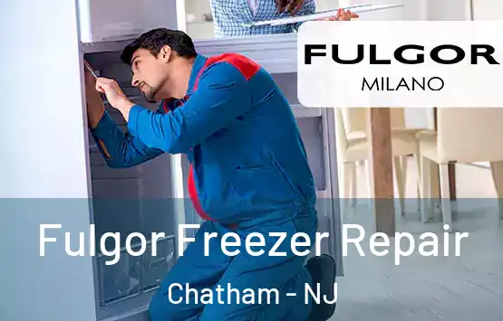  Fulgor Freezer Repair Chatham - NJ