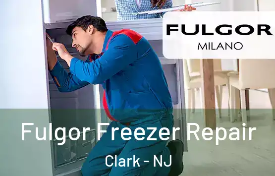  Fulgor Freezer Repair Clark - NJ
