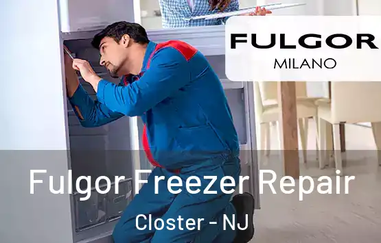  Fulgor Freezer Repair Closter - NJ