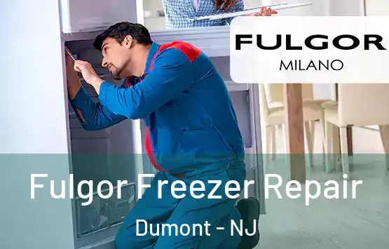  Fulgor Freezer Repair Dumont - NJ