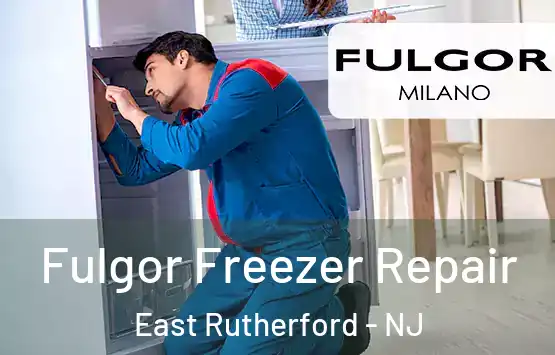  Fulgor Freezer Repair East Rutherford - NJ