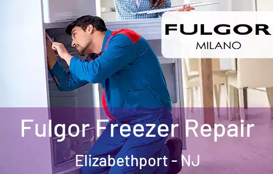  Fulgor Freezer Repair Elizabethport - NJ