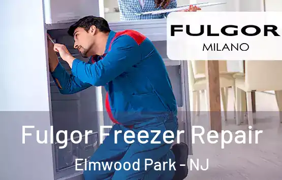  Fulgor Freezer Repair Elmwood Park - NJ