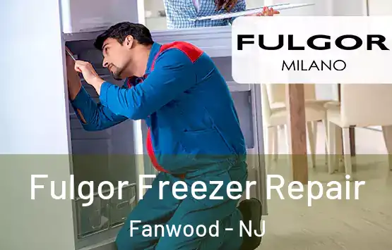  Fulgor Freezer Repair Fanwood - NJ