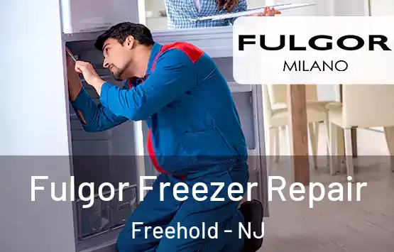  Fulgor Freezer Repair Freehold - NJ