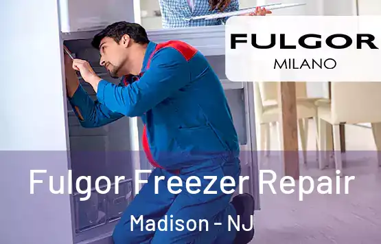 Fulgor Freezer Repair Madison - NJ