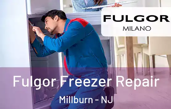  Fulgor Freezer Repair Millburn - NJ