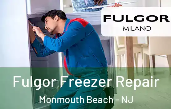  Fulgor Freezer Repair Monmouth Beach - NJ