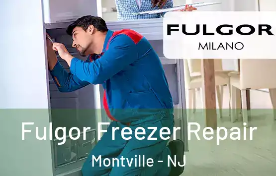  Fulgor Freezer Repair Montville - NJ
