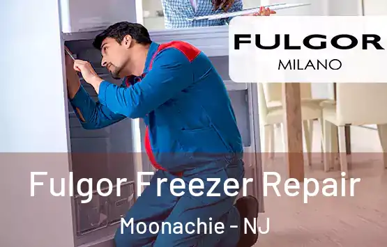  Fulgor Freezer Repair Moonachie - NJ