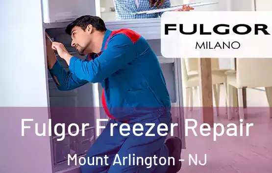  Fulgor Freezer Repair Mount Arlington - NJ