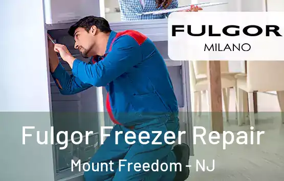  Fulgor Freezer Repair Mount Freedom - NJ