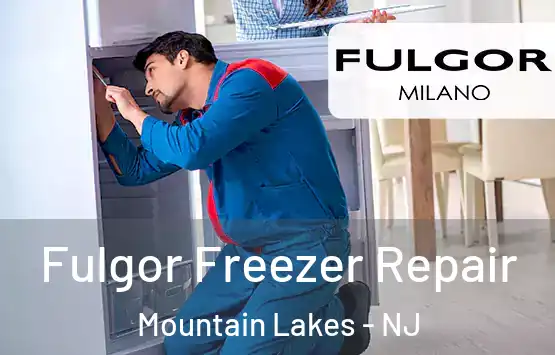  Fulgor Freezer Repair Mountain Lakes - NJ