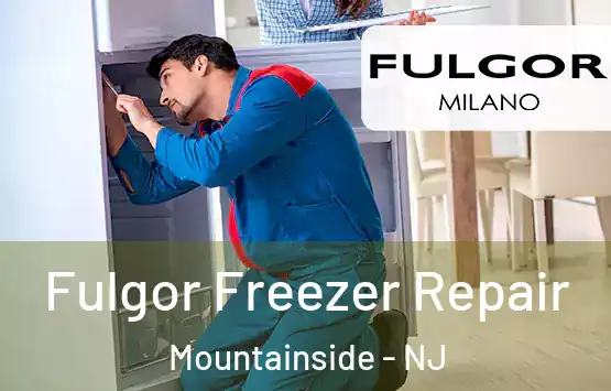  Fulgor Freezer Repair Mountainside - NJ