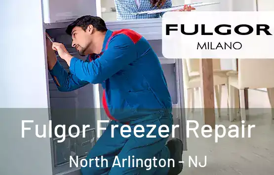  Fulgor Freezer Repair North Arlington - NJ