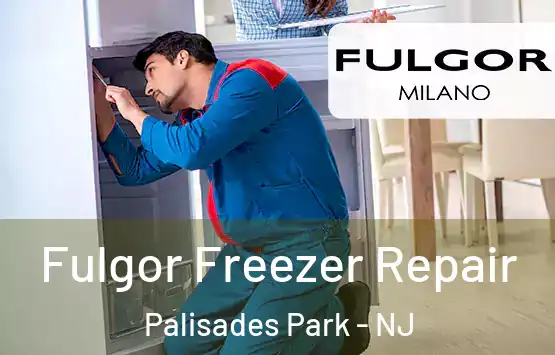  Fulgor Freezer Repair Palisades Park - NJ