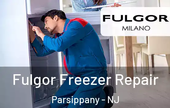  Fulgor Freezer Repair Parsippany - NJ