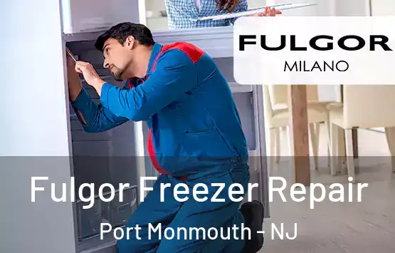  Fulgor Freezer Repair Port Monmouth - NJ
