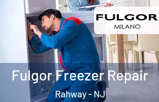  Fulgor Freezer Repair Rahway - NJ
