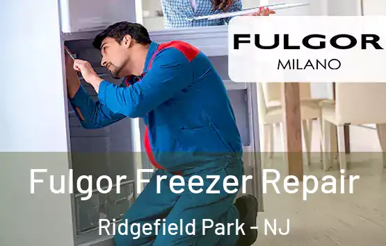  Fulgor Freezer Repair Ridgefield Park - NJ