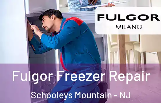  Fulgor Freezer Repair Schooleys Mountain - NJ