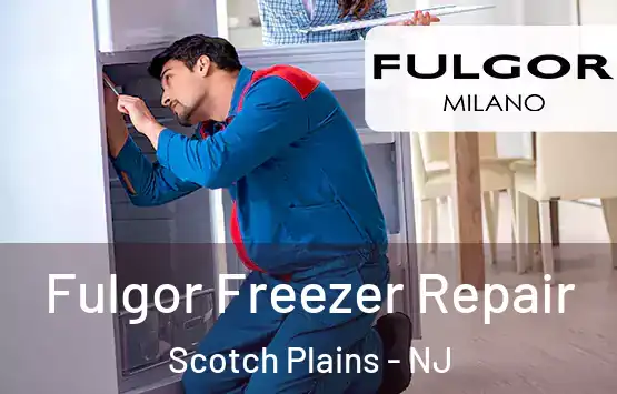  Fulgor Freezer Repair Scotch Plains - NJ