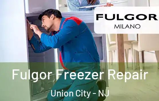  Fulgor Freezer Repair Union City - NJ