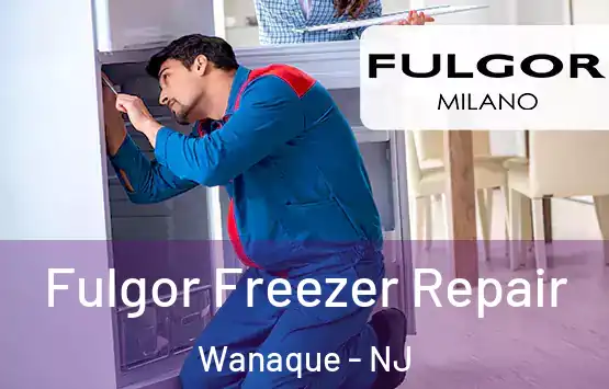  Fulgor Freezer Repair Wanaque - NJ