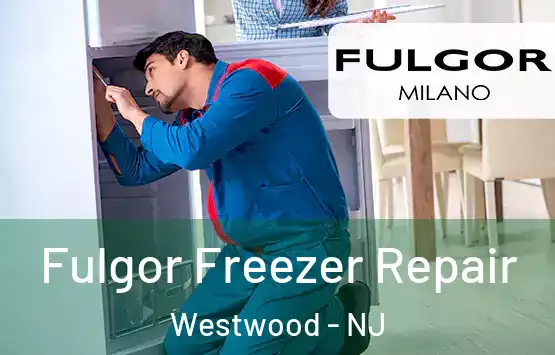  Fulgor Freezer Repair Westwood - NJ