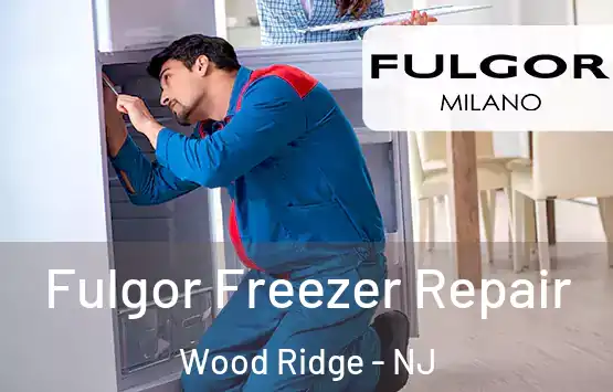  Fulgor Freezer Repair Wood Ridge - NJ