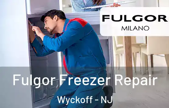  Fulgor Freezer Repair Wyckoff - NJ