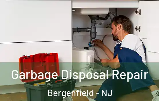  Garbage Disposal Repair Bergenfield - NJ
