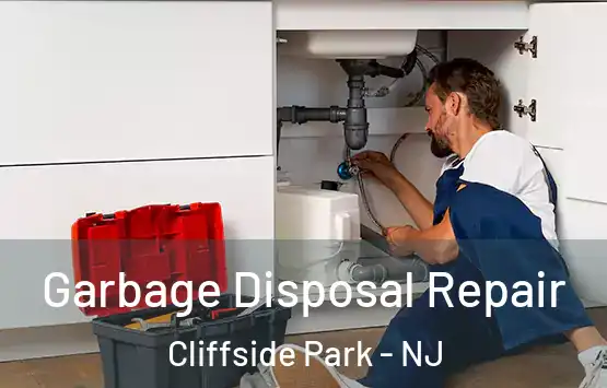  Garbage Disposal Repair Cliffside Park - NJ