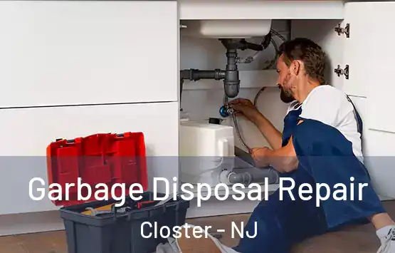  Garbage Disposal Repair Closter - NJ