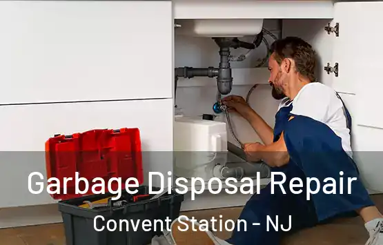  Garbage Disposal Repair Convent Station - NJ