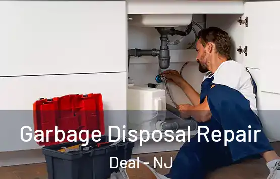  Garbage Disposal Repair Deal - NJ