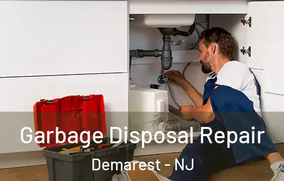  Garbage Disposal Repair Demarest - NJ