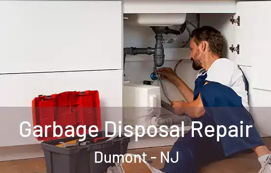  Garbage Disposal Repair Dumont - NJ