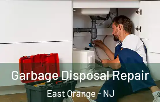  Garbage Disposal Repair East Orange - NJ
