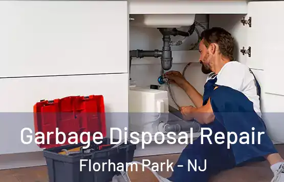  Garbage Disposal Repair Florham Park - NJ