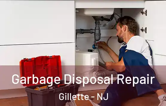  Garbage Disposal Repair Gillette - NJ