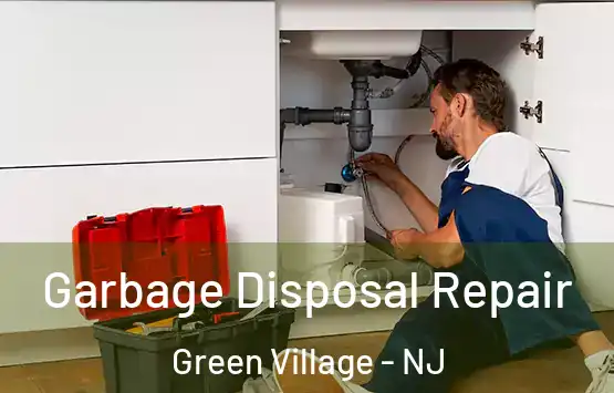  Garbage Disposal Repair Green Village - NJ